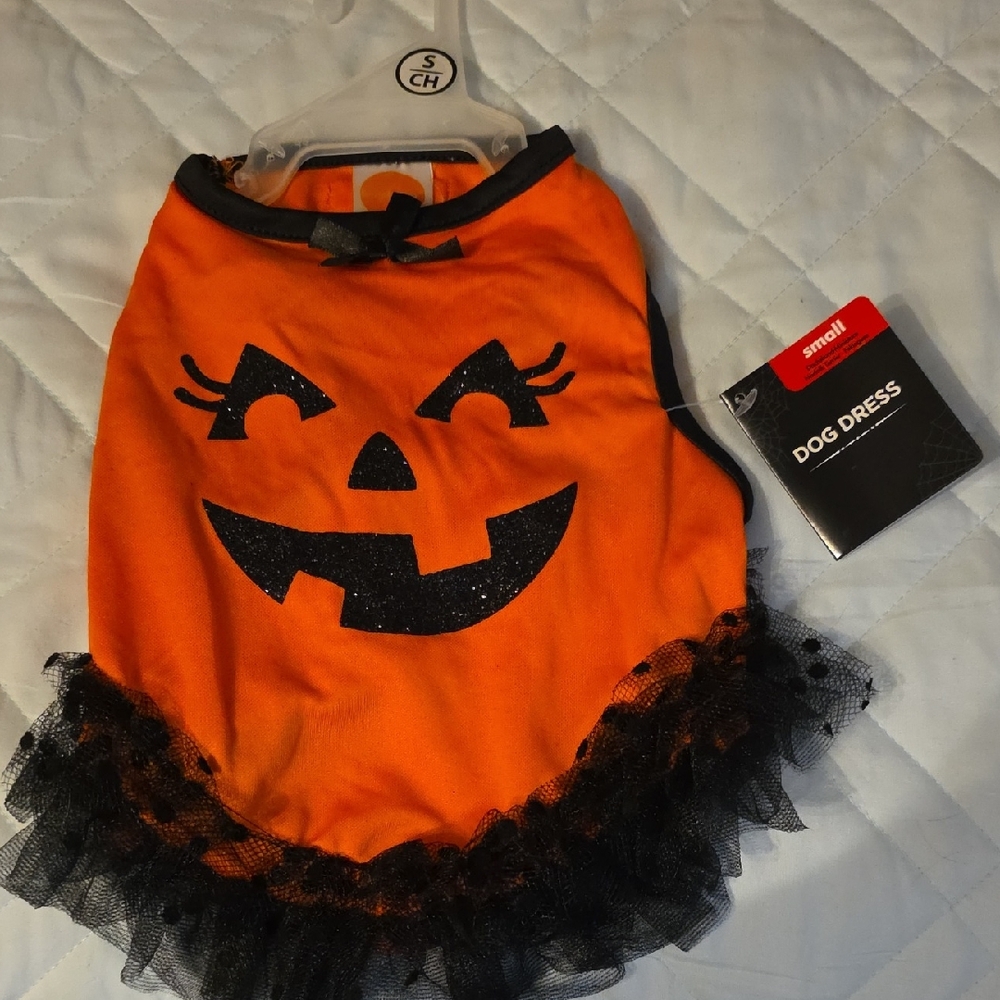 Spooky Pumpkin Dog Dress - Orange and Black size small